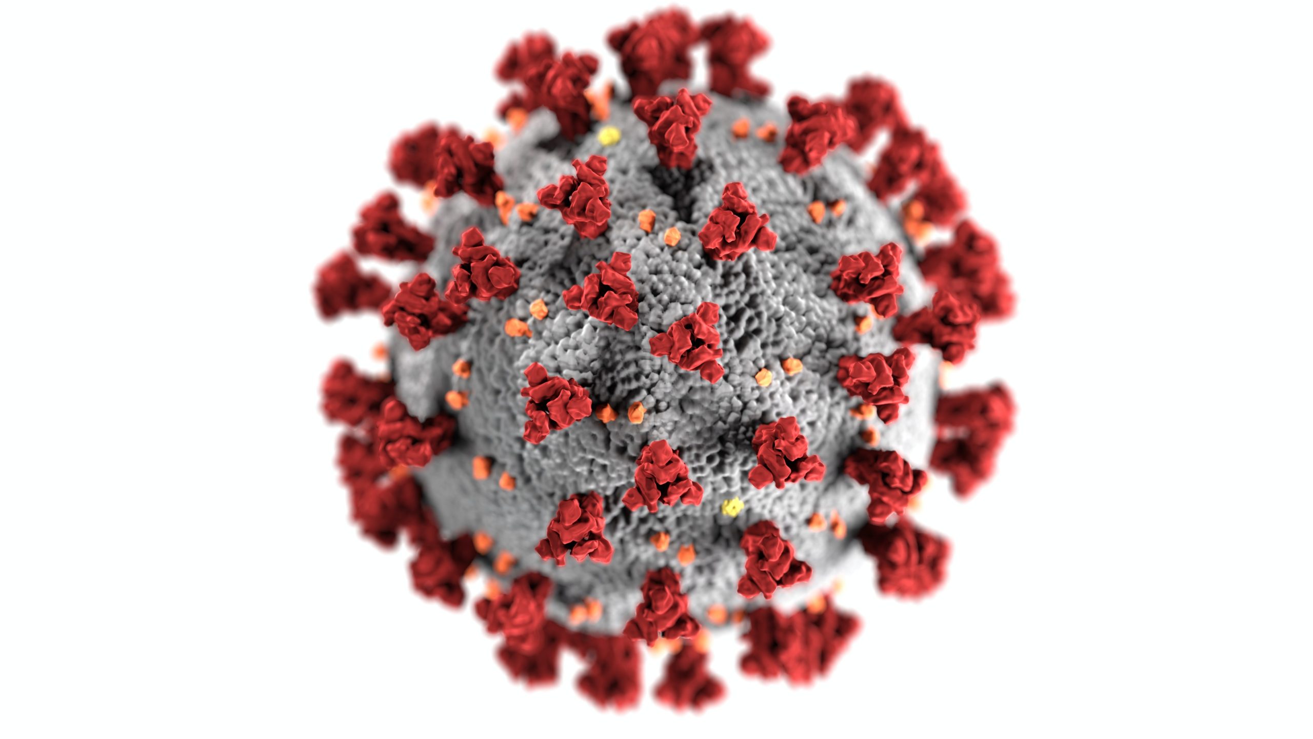 mutation film virus